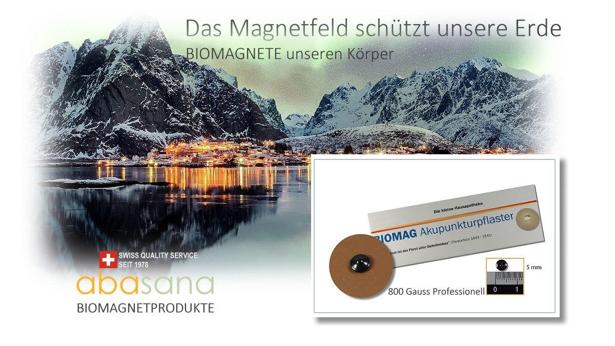biomag_magnetpflaster_ferrit